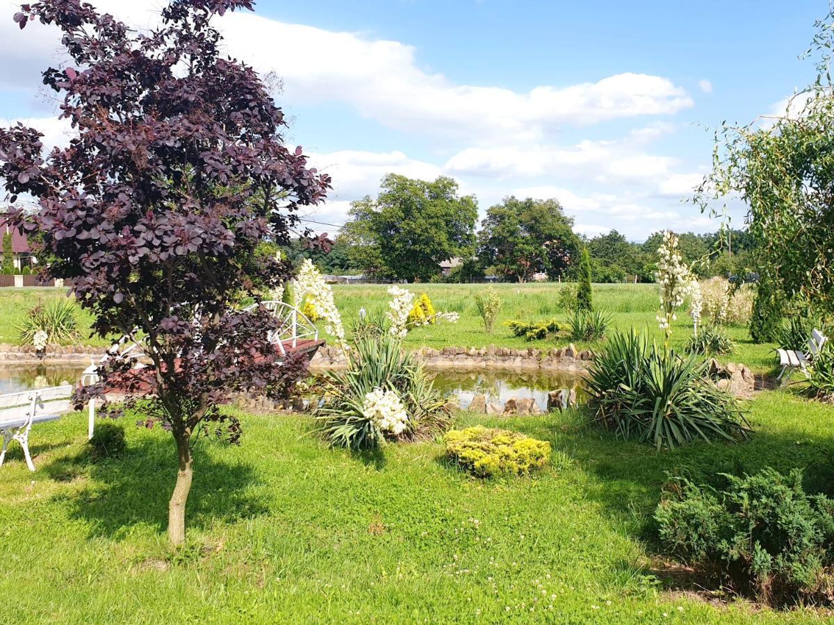 Willa Park Ostrowiec Świętokrzyski Екстериор снимка